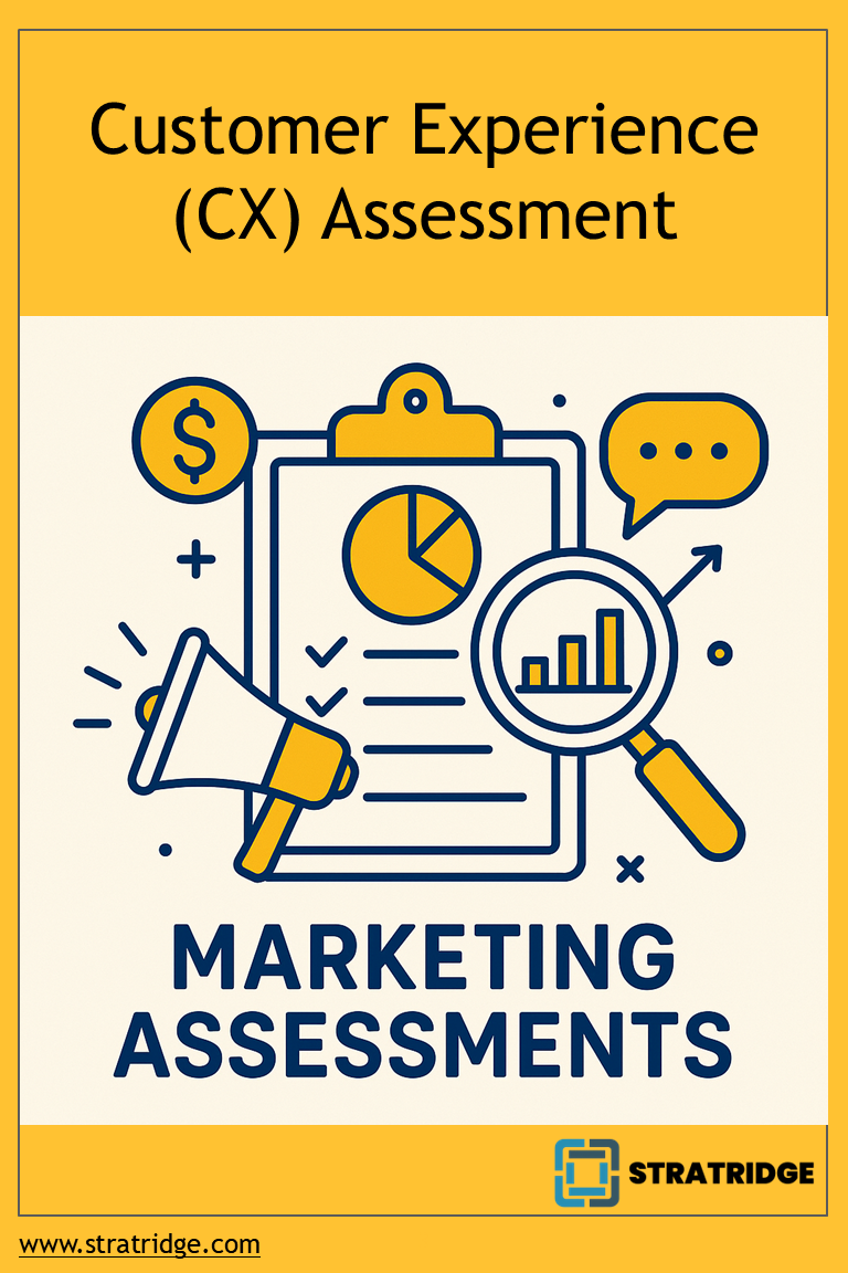 Customer Experience (CX) Assessment